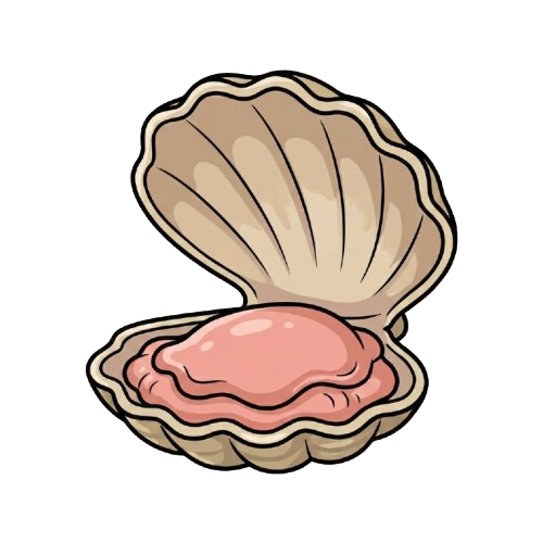 Opened Clam